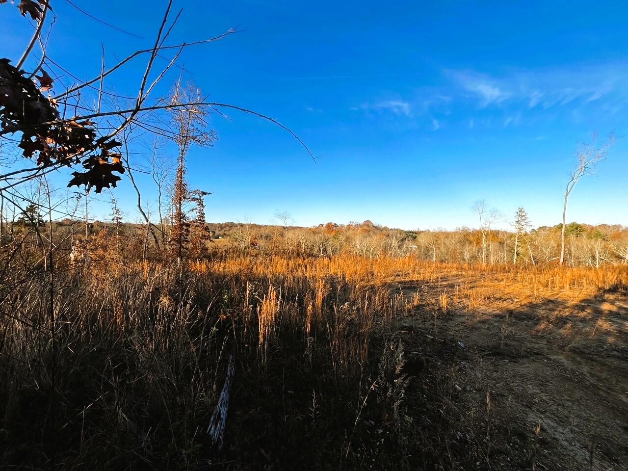 1675 Euchee Road Ten Mile, TN 37880 - Photo 30 of 30