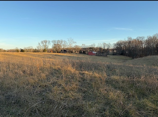 0 Love Road McMinnville, TN 37110 - Photo 4 of 8 a view of an lake and a yard