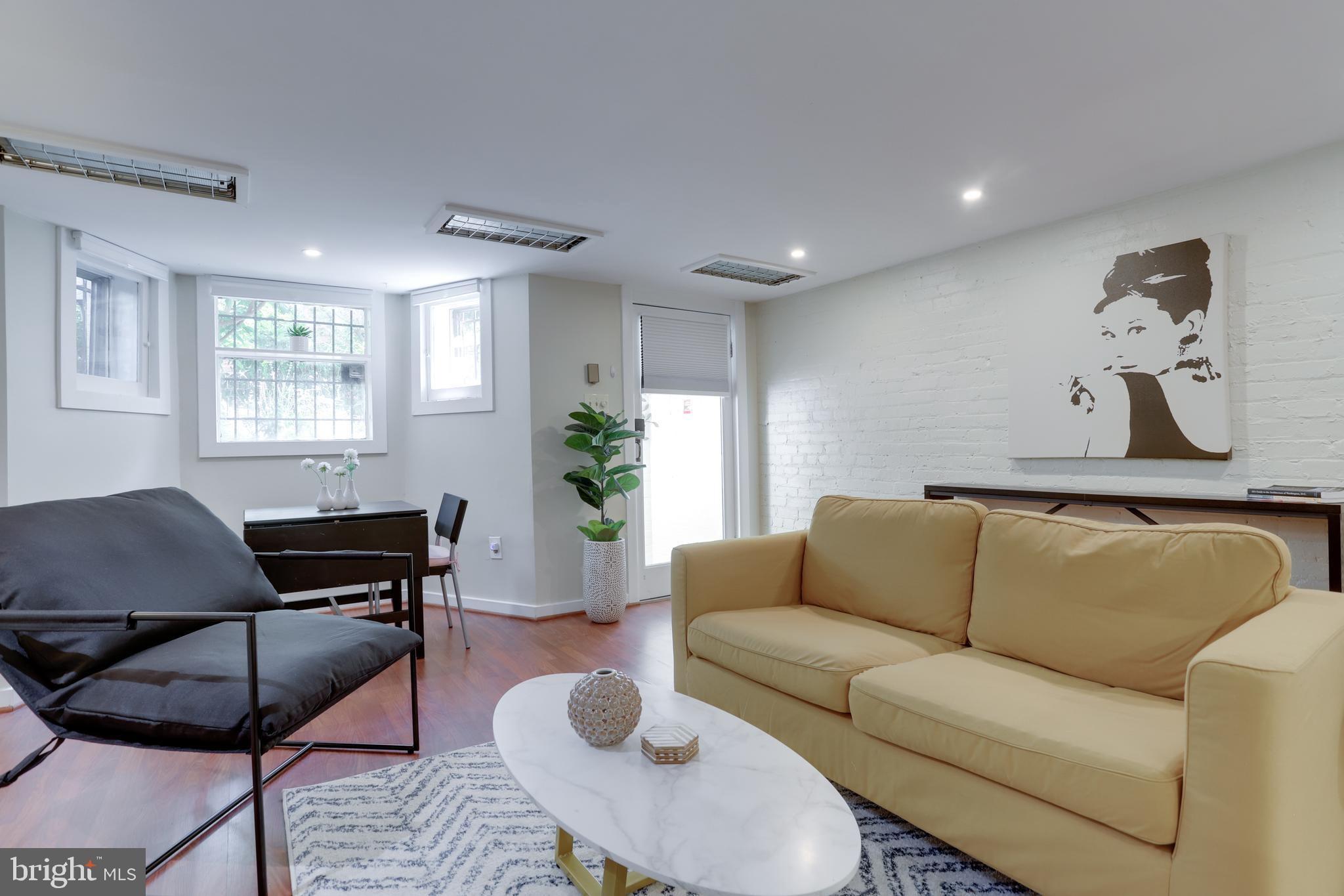 a living room with furniture or couch and a potted plant