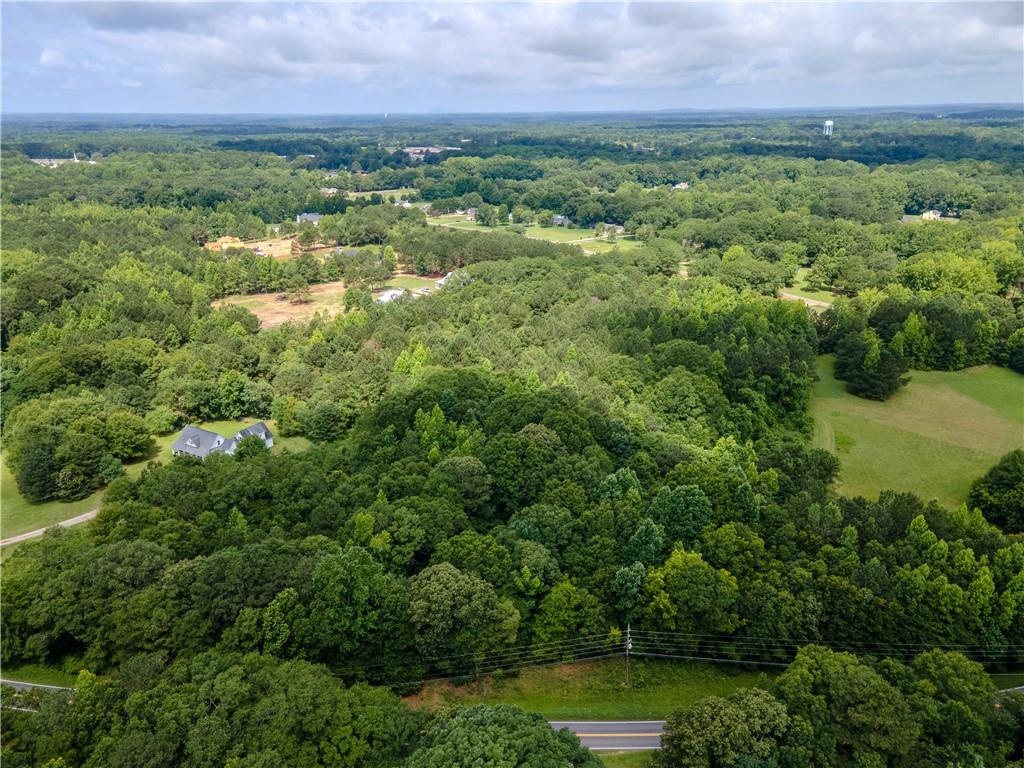 1304 Broadnax Mill Road Loganville, GA 30052 - Photo 5 of 8
