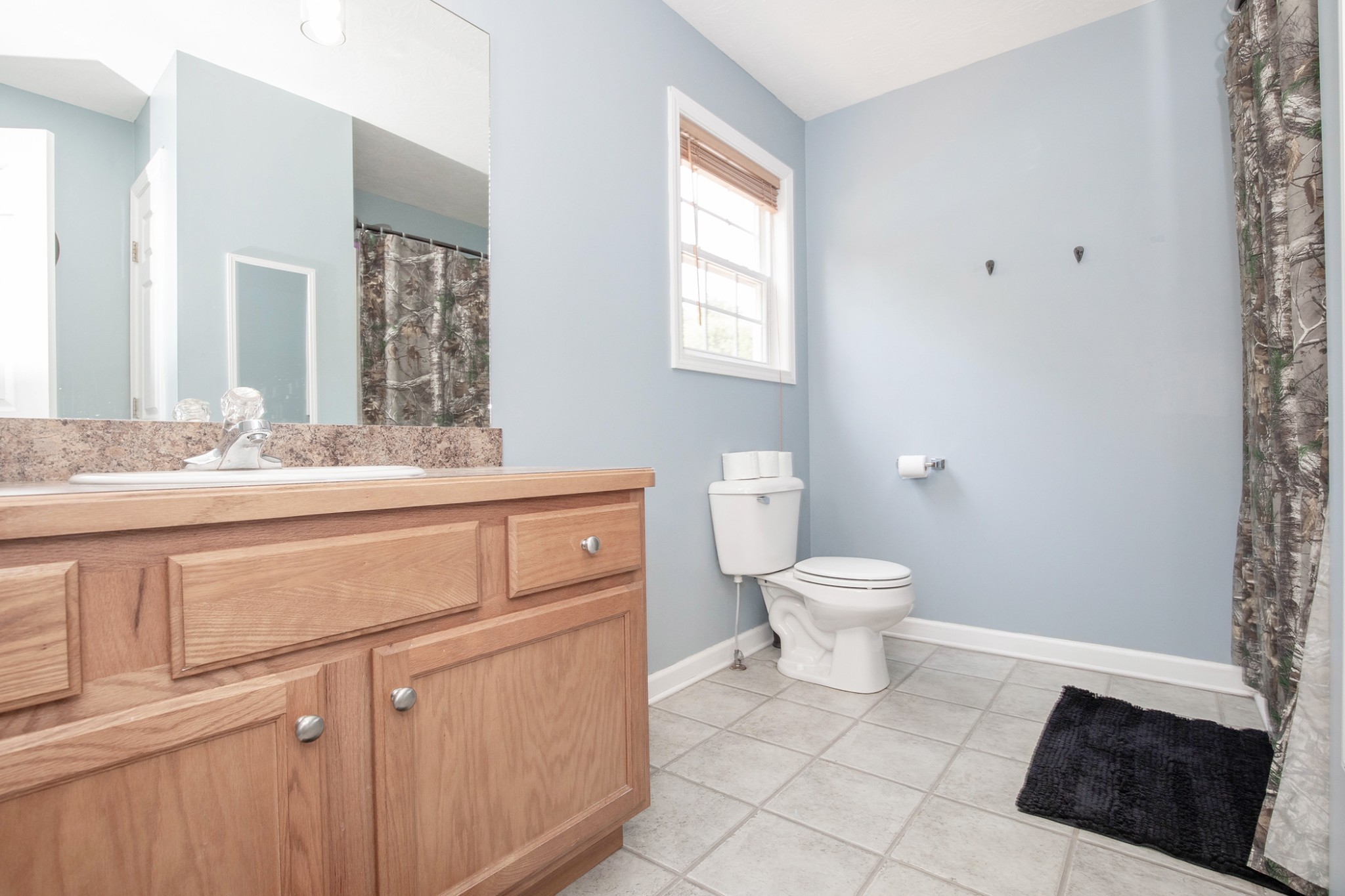 148 Filly Lane Springfield, TN 37172 - Photo 20 of 33 a bathroom with a granite countertop toilet a sink and a mirror