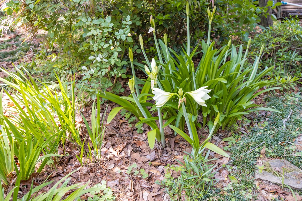 6129 Cape Cod Court Columbus, GA 31904 - Photo 32 of 39