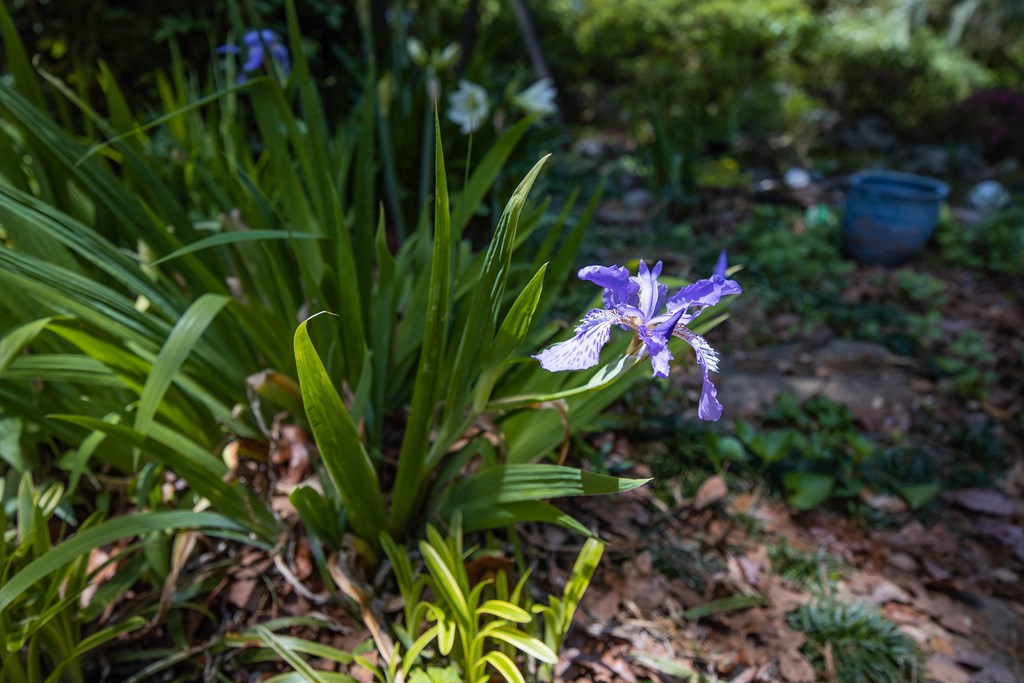 6129 Cape Cod Court Columbus, GA 31904 - Photo 33 of 39