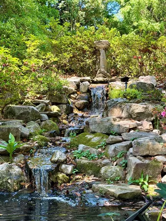 a view of backyard of house