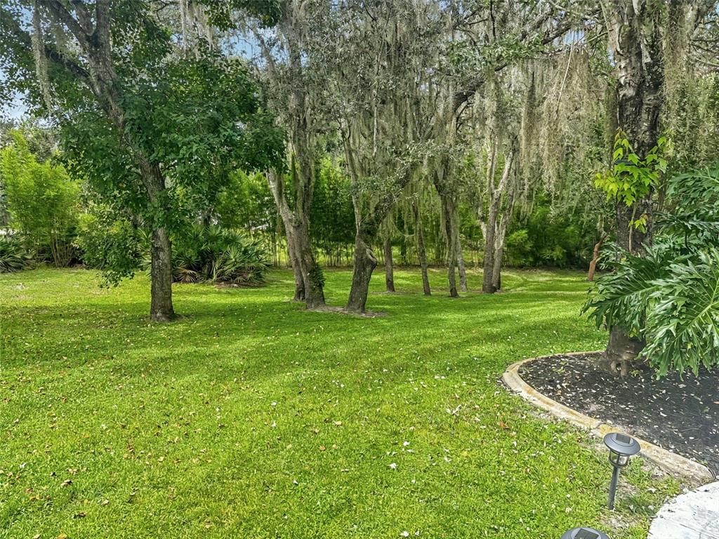298 Lake Markham Road Sanford, FL 32771 - Photo 48 of 50 a view of a park with trees and grass