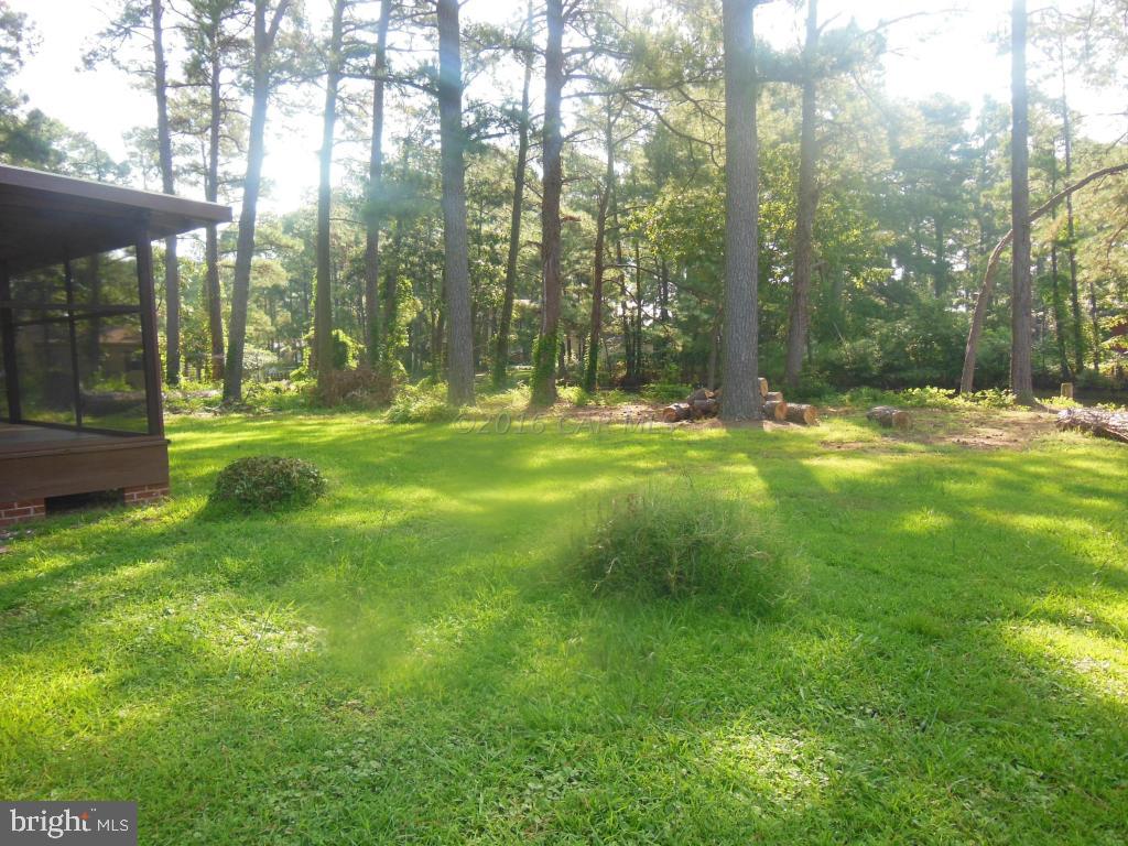 5105 Old Auger Road Crisfield, MD 21817 - Photo 3 of 23 Gallery Image 3
