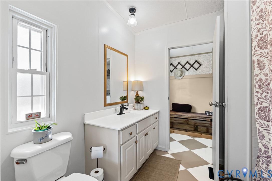 299 Arvin Store Road Keysville, VA 23947 - Photo 13 of 45 a bathroom with a sink a toilet and a mirror