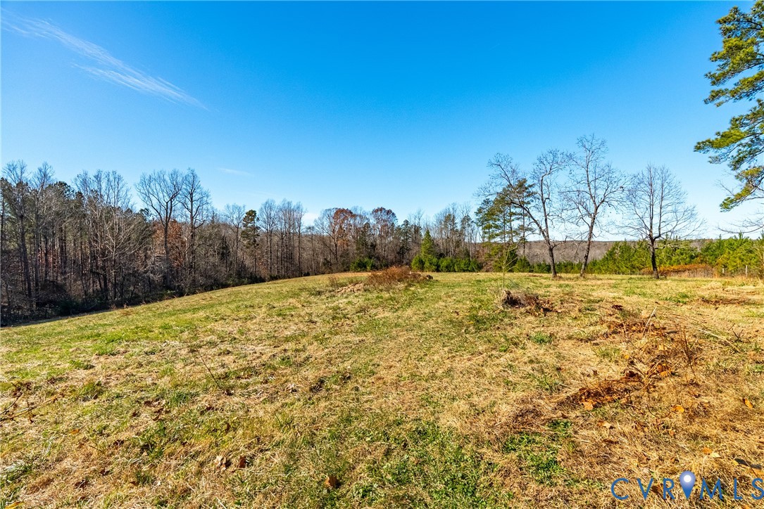 299 Arvin Store Road Keysville, VA 23947 - Photo 38 of 45 a view of yard with trees