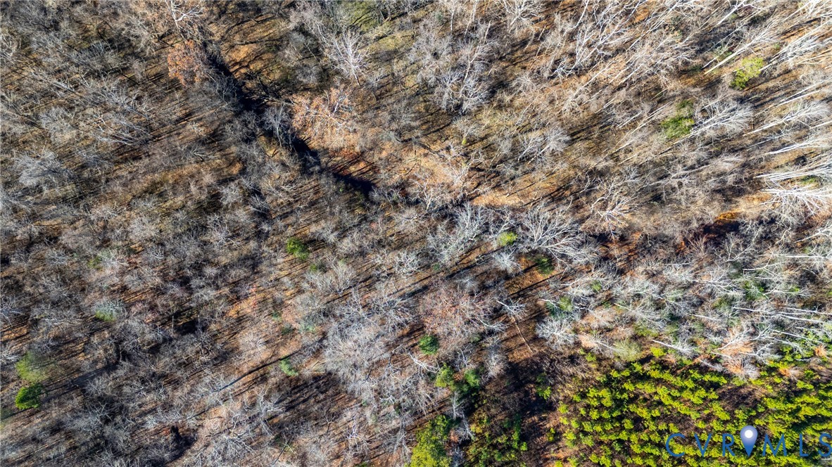 299 Arvin Store Road Keysville, VA 23947 - Photo 41 of 45 a view of a field