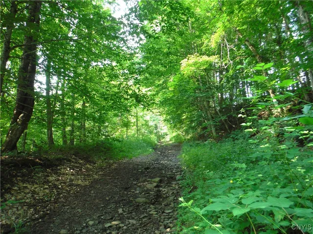 $209,000 | 5500 Crofoot Hill Road, West Turin, NY 13325