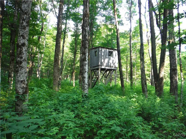 $209,000 | 5500 Crofoot Hill Road, West Turin, NY 13325