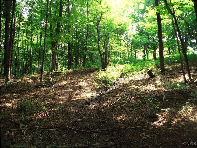 $209,000 | 5500 Crofoot Hill Road, West Turin, NY 13325