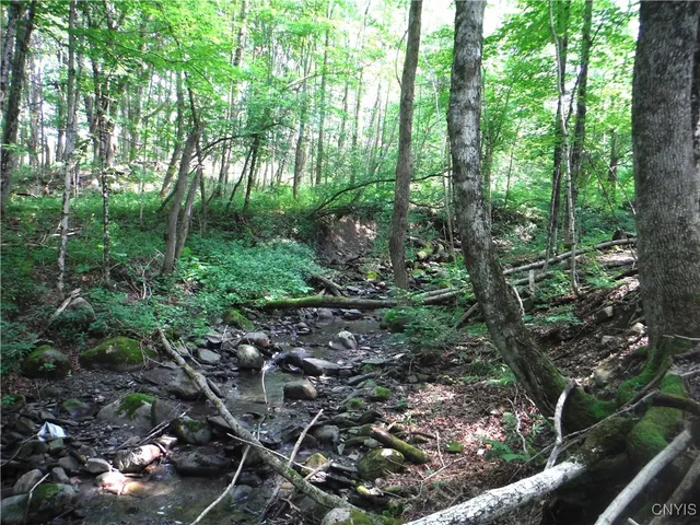 $209,000 | 5500 Crofoot Hill Road, West Turin, NY 13325