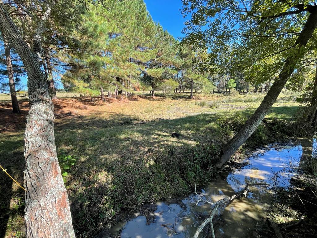 0 Ozell Road Boston, GA 31626 - Photo 28 of 46 Gallery Image 28