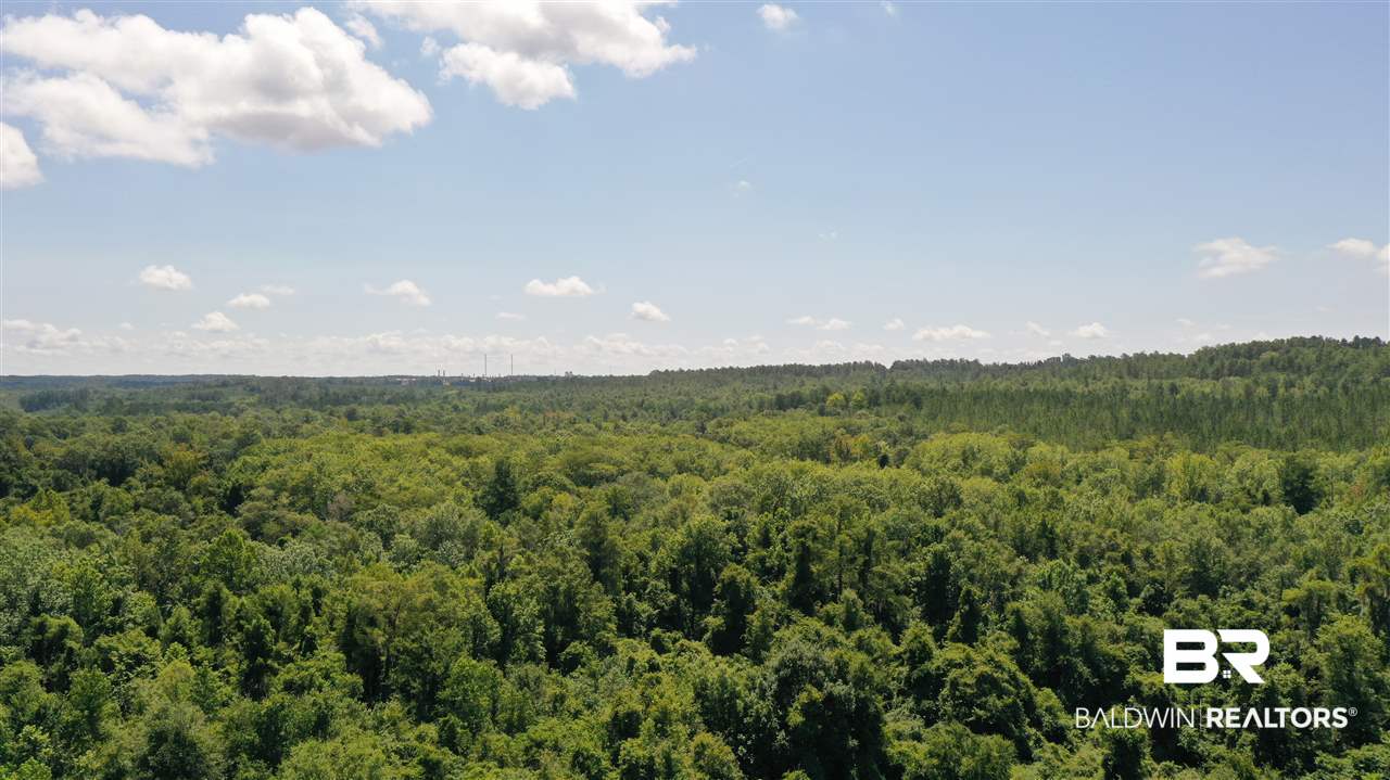 0 Highway 4 Jay, FL 32565 - Photo 36 of 50