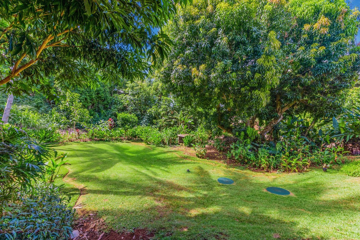 4826 Pelehu Road Kapaa, HI 96746 - Photo 23 of 25 a view of yard with green space