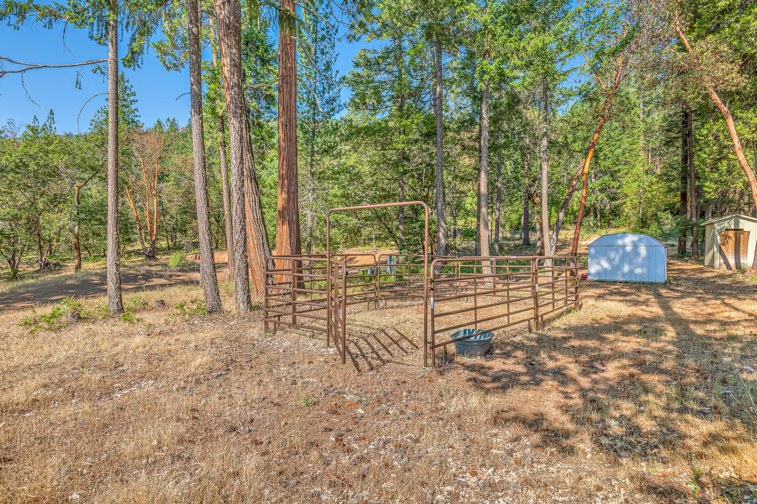 7745 Beagle Road White City, OR 97503 - Photo 31 of 49 9R9A5906