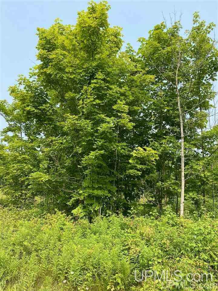 Tbd Southside Road Manistique, MI 49854 - Photo 35 of 36 Gallery Image 35