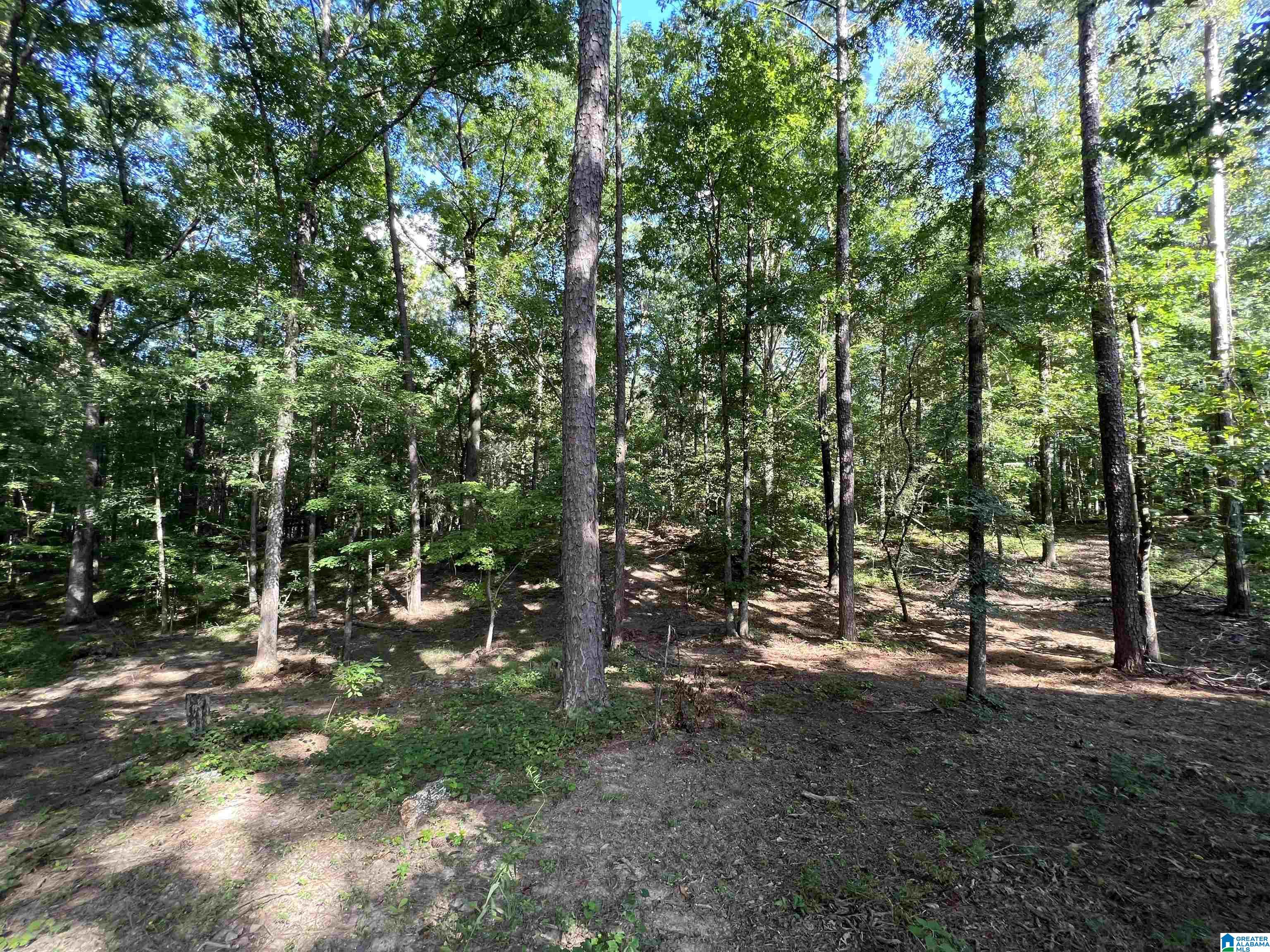 387 Liberty Ridge Road Chelsea, AL 35043 - Photo 38 of 44