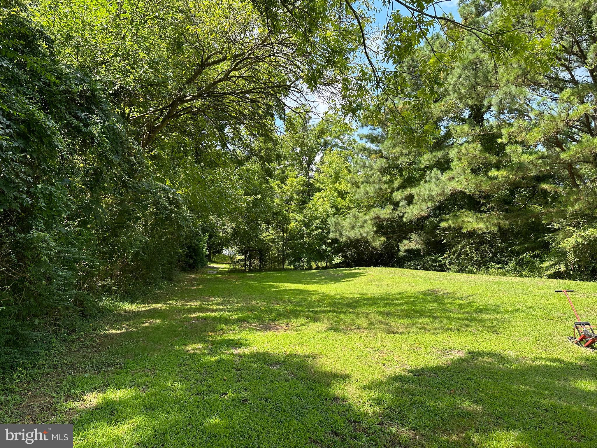 3950 Texas Road Bivalve, MD 21814 - Photo 8 of 55