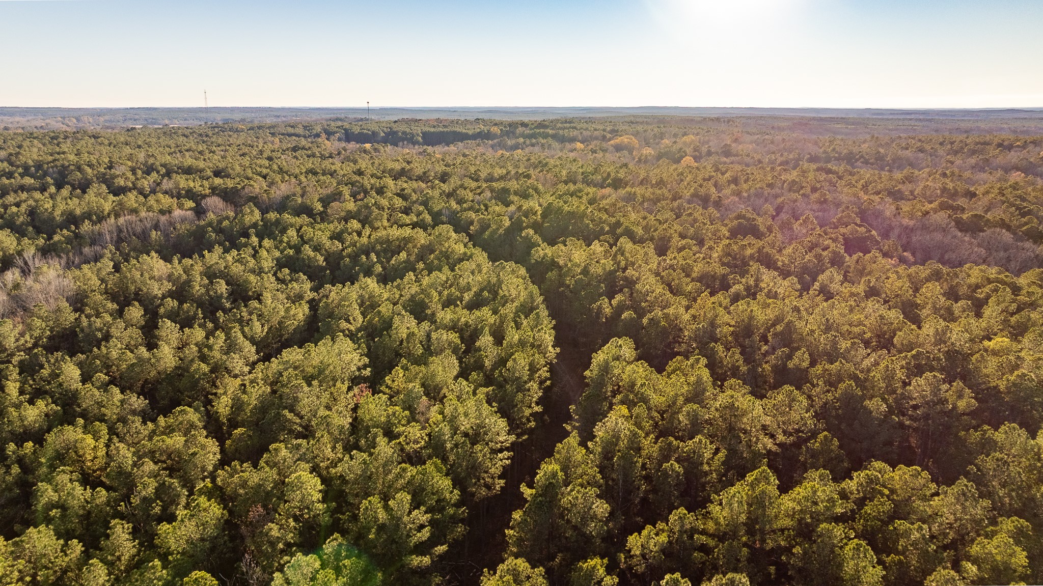 8548 Elberton Road Tignall, GA 30668 - Photo 3 of 50 an aerial view of forest