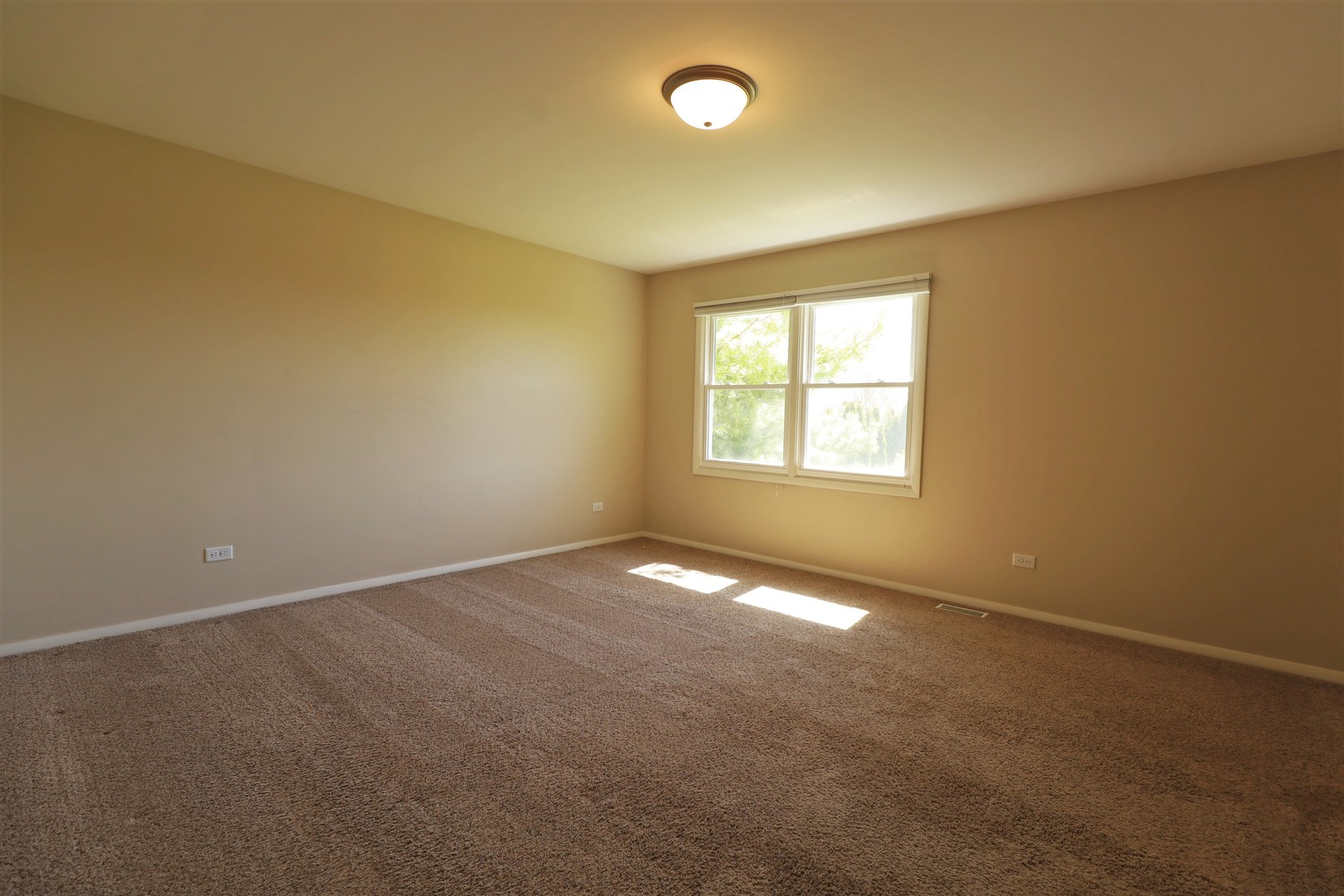 819 Colony Court Lindenhurst, IL 60046 - Photo 11 of 24