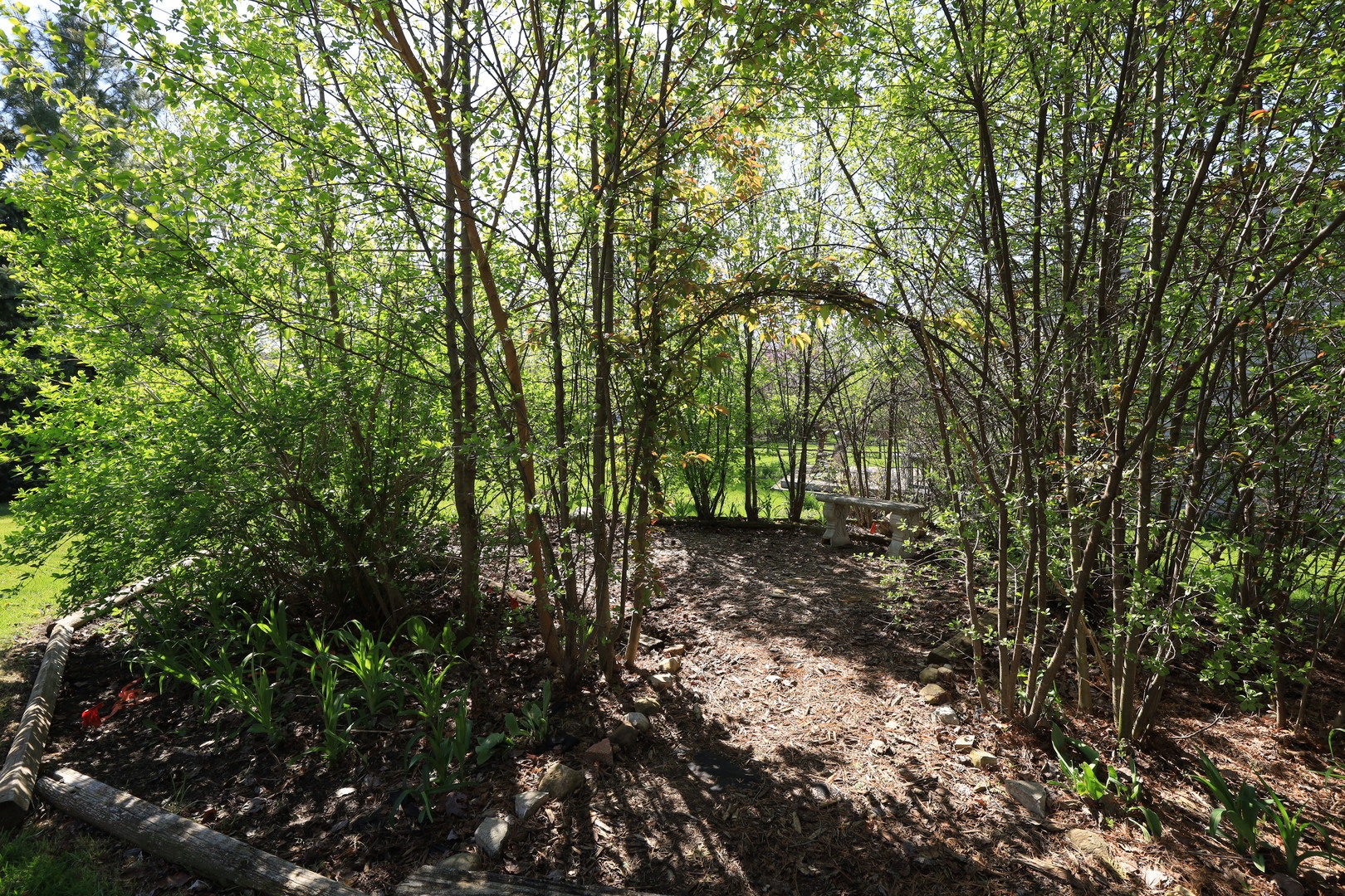 819 Colony Court Lindenhurst, IL 60046 - Photo 23 of 24