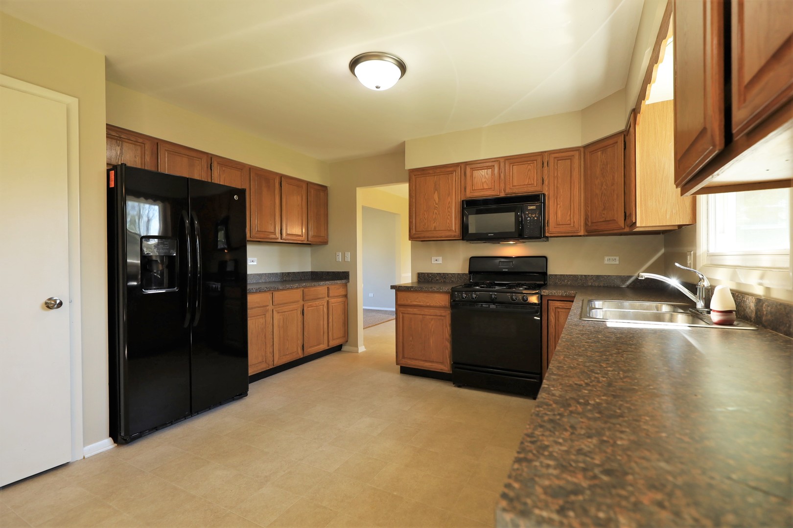 819 Colony Court Lindenhurst, IL 60046 - Photo 6 of 24