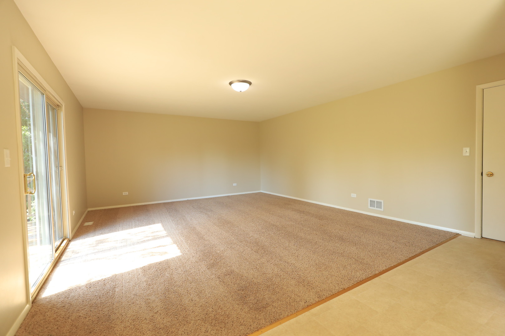 819 Colony Court Lindenhurst, IL 60046 - Photo 8 of 24