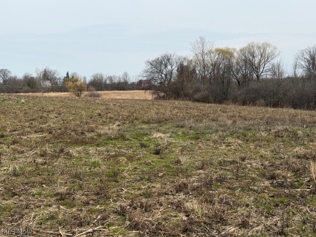 South Madison Road Madison, OH 44057 - Photo 4 of 12