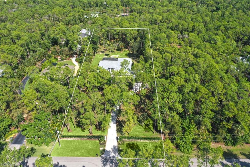 5253 Sycamore Drive Naples, FL 34119 - Photo 47 of 49 a view of a big yard with lots of bushes