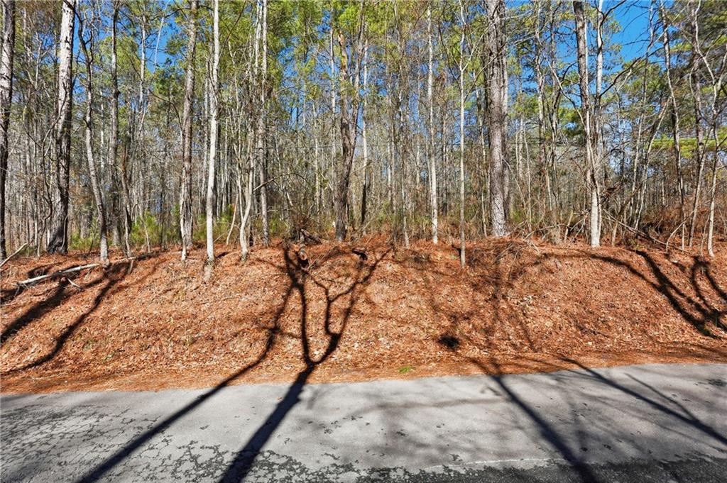 0 Pickett Bridge Road Covington, GA 30016 - Photo 9 of 22