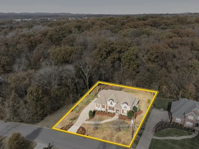 a front view of house with yard and trees