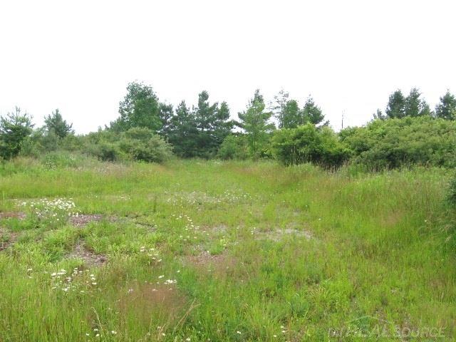 Tbd Sheridan Line Lexington, MI 48450 - Photo 4 of 14