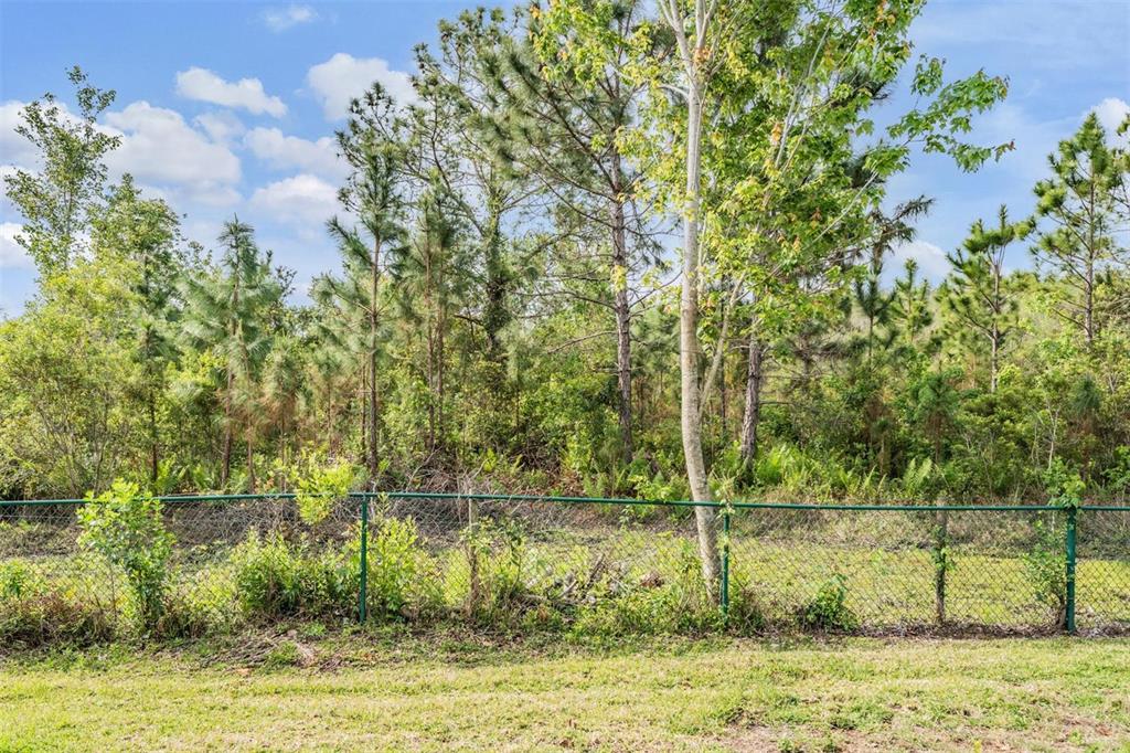 1017 Ketzal Drive Trinity, FL 34655 - Photo 29 of 34 Behold the view!