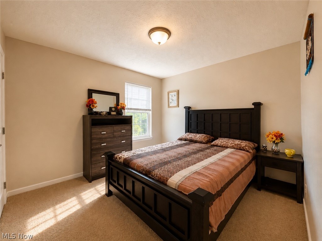 867 Starr Ridge Street Southeast Massillon, OH 44646 - Photo 19 of 29 Carpeted room with a ceiling-mounted light fixture, neutral wall paint, and a window featuring blinds