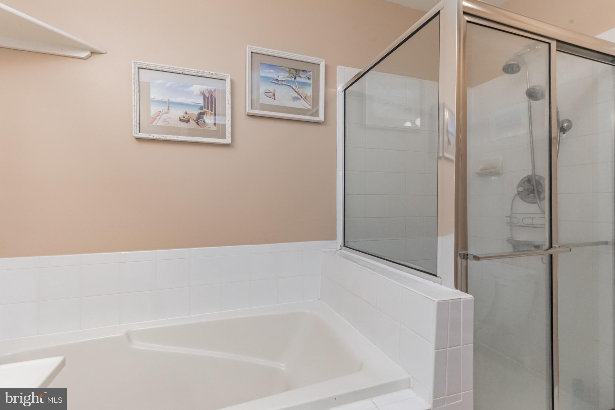6305 Wind Rider Way Columbia, MD 21045 - Photo 27 of 38 Primary Bedroom w/Soaking Tub & Sep Shower