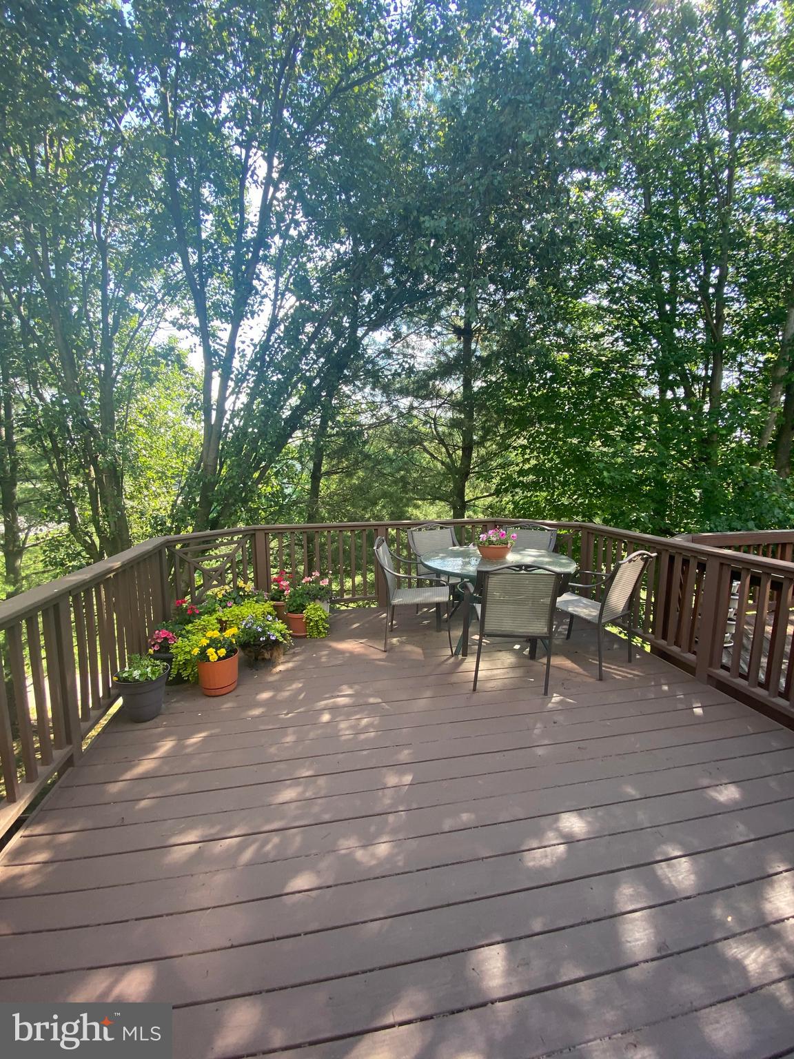 6305 Wind Rider Way Columbia, MD 21045 - Photo 36 of 38 Private Deck backing to Trees!