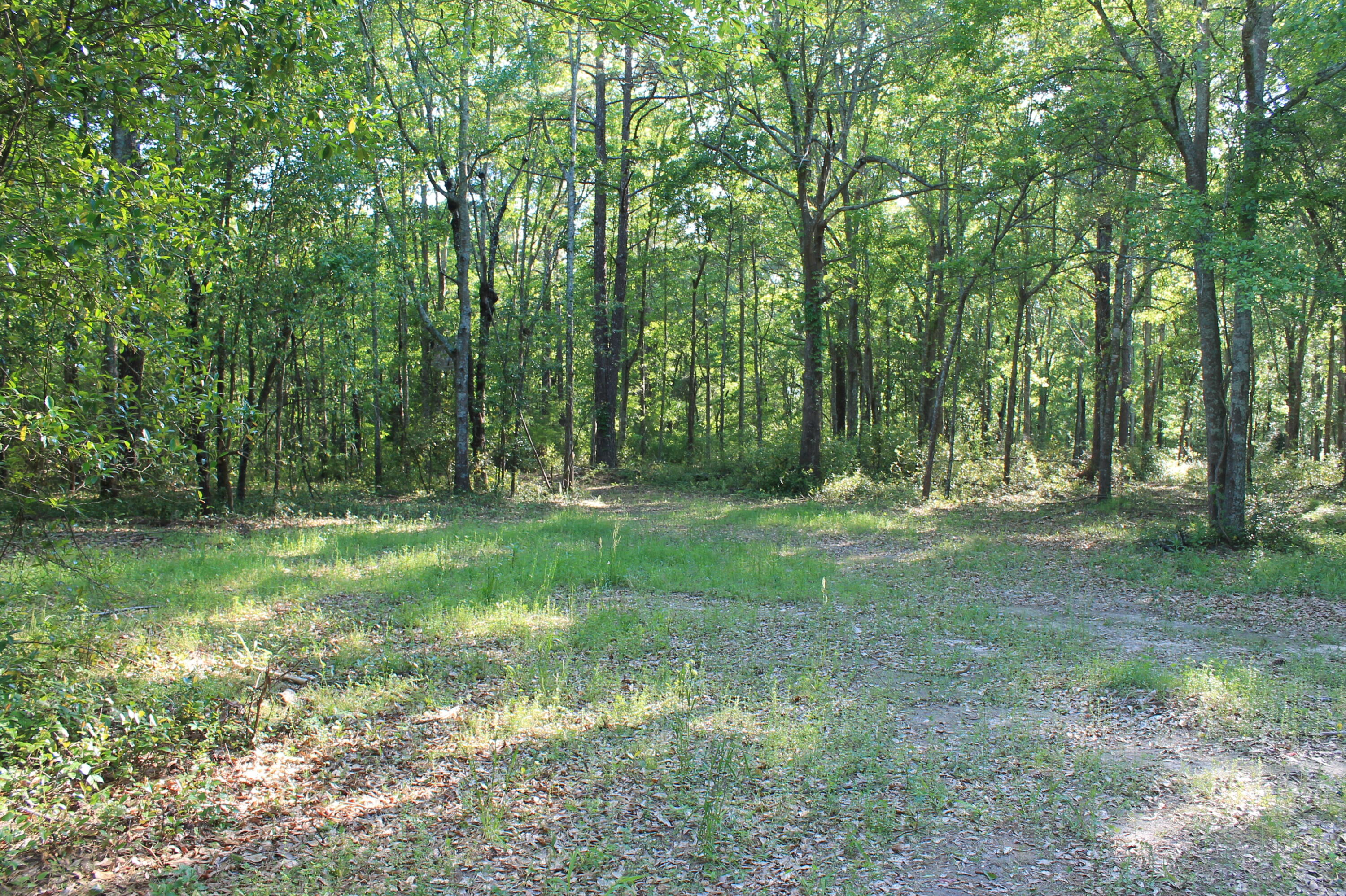 1214 Toolebeck Road Aiken, SC 29803 - Photo 4 of 17