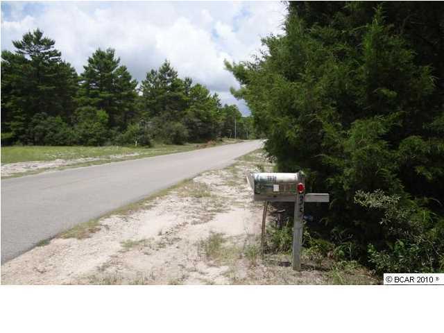235 River Road Carrabelle, FL 32322 - Photo 3 of 8 Gallery Image 3