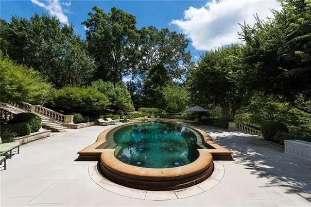 a view of a garden with plants and large trees