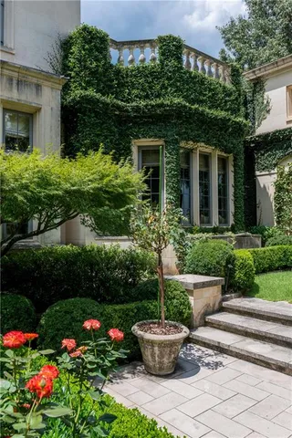 a view of a garden with a tree