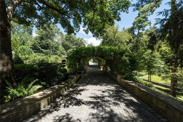 a view of plant in front of yard