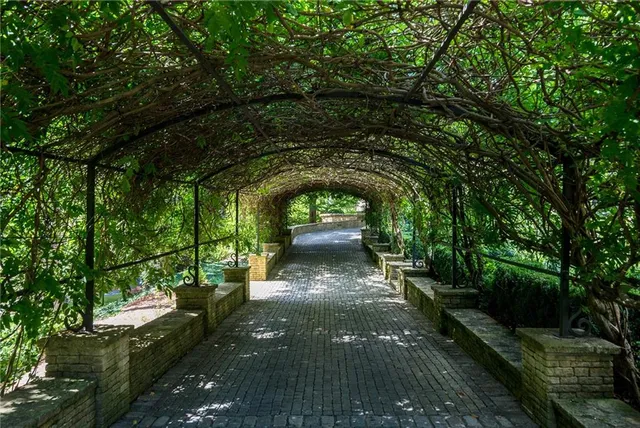 a view of a house with a small yard and large trees