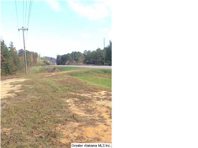 0 Highway 77, Unit 24 AC Ohatchee, AL 36271 - Photo 1 of 13