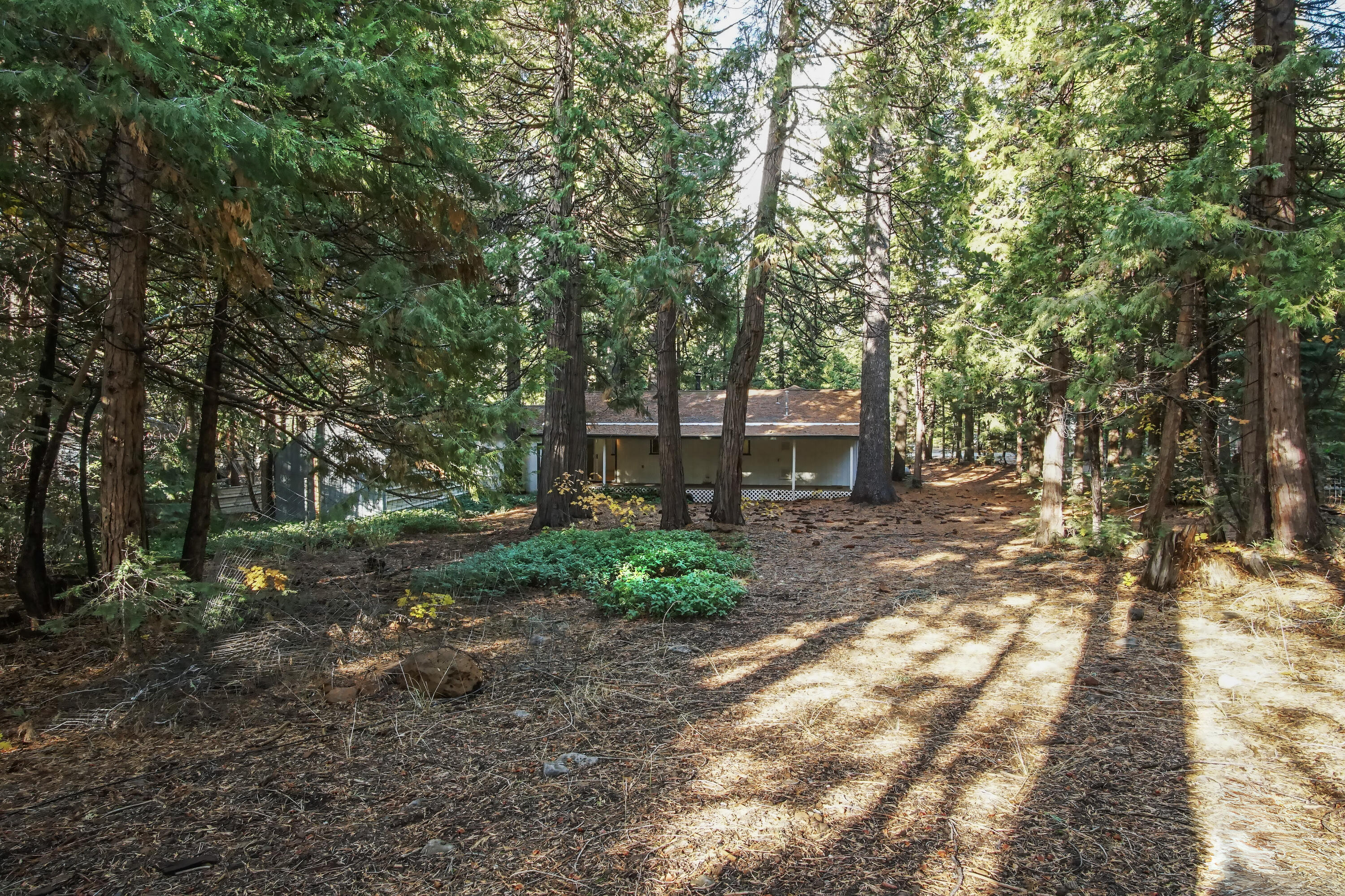 8298 Starlite Pines Road Shingletown, CA 96088 - Photo 16 of 21 Property View Backyard 4