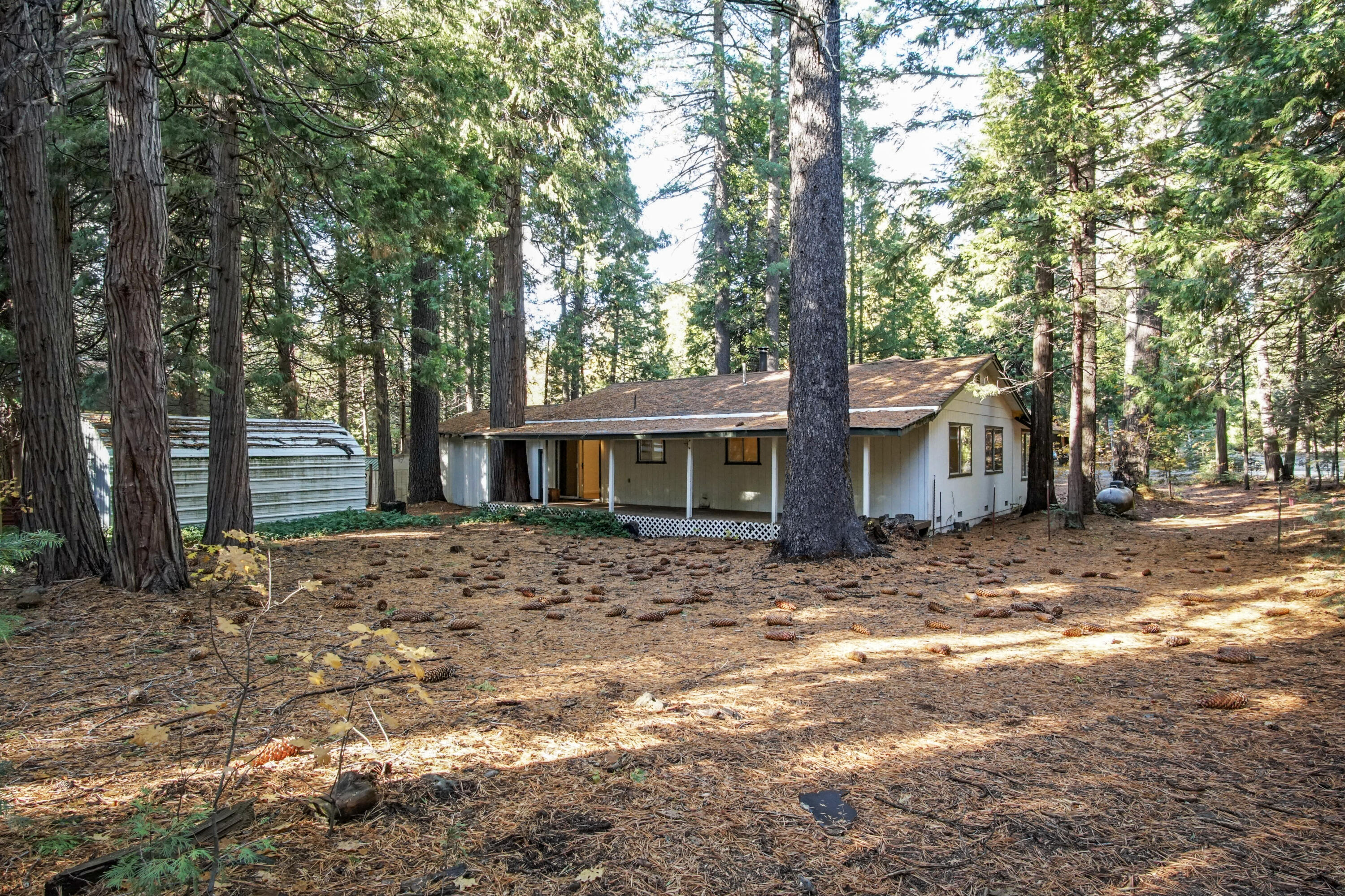 8298 Starlite Pines Road Shingletown, CA 96088 - Photo 19 of 21 Property View Backyard 3
