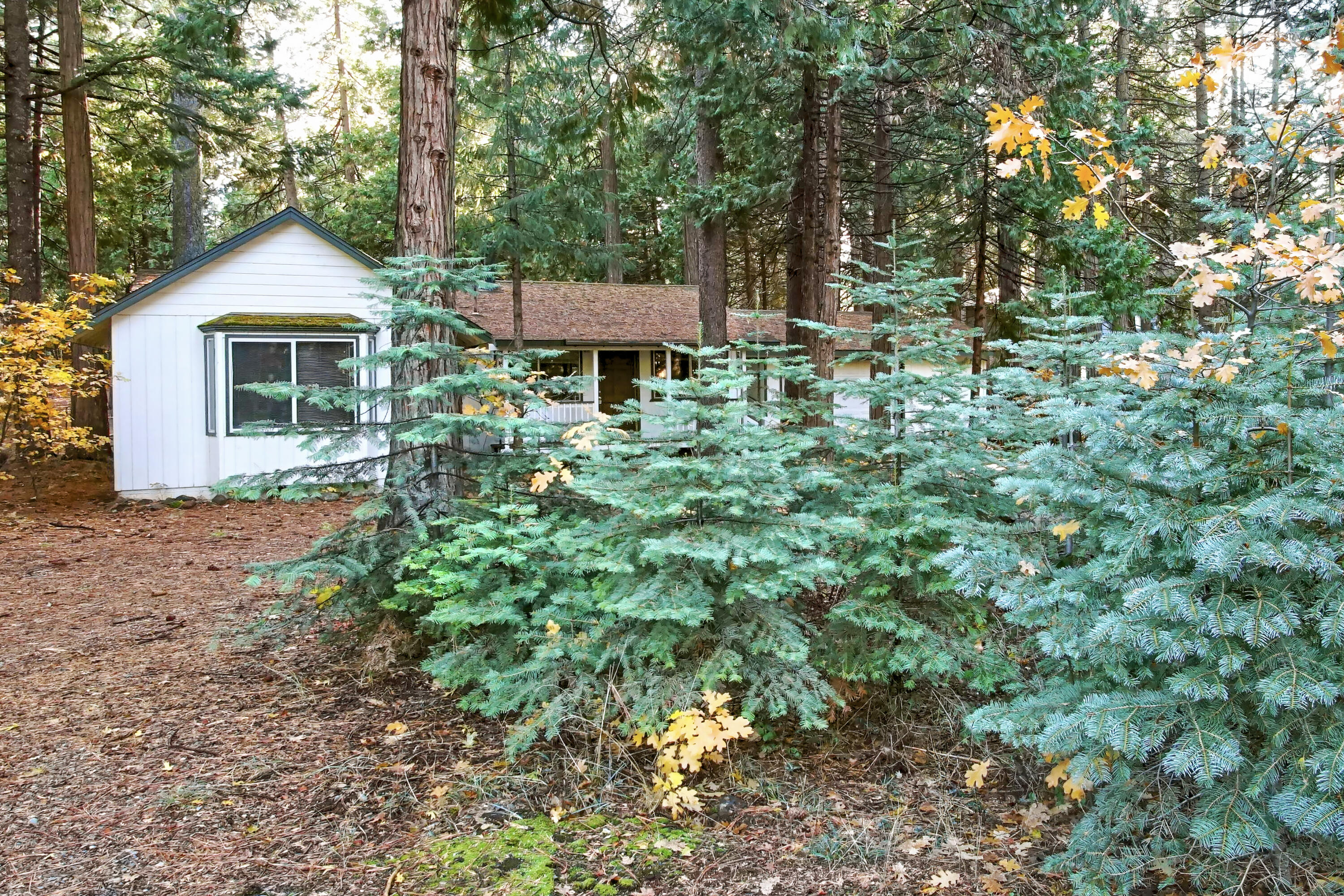8298 Starlite Pines Road Shingletown, CA 96088 - Photo 20 of 21 Property Front View 5