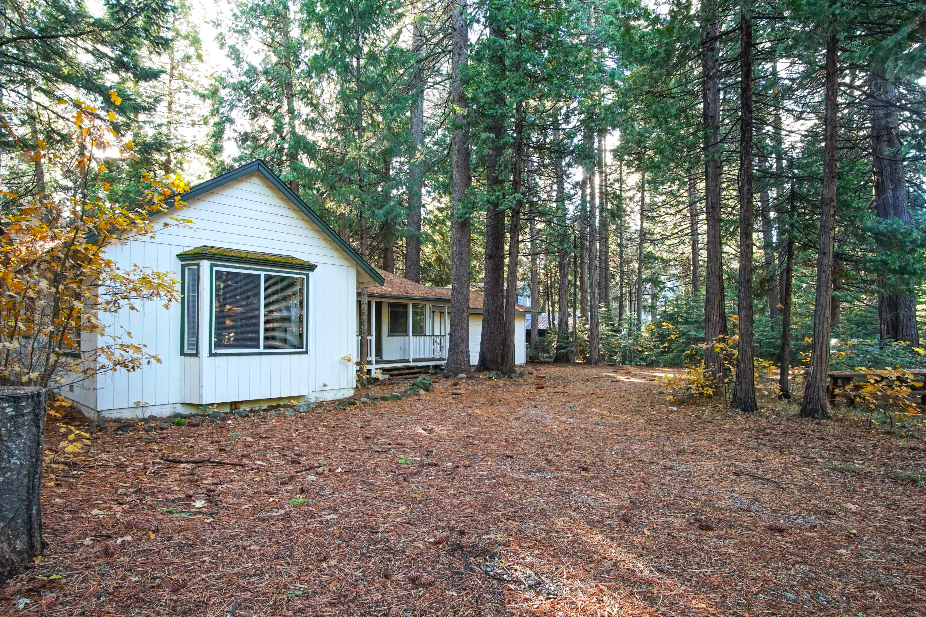 8298 Starlite Pines Road Shingletown, CA 96088 - Photo 10 of 21 Property Front View 3