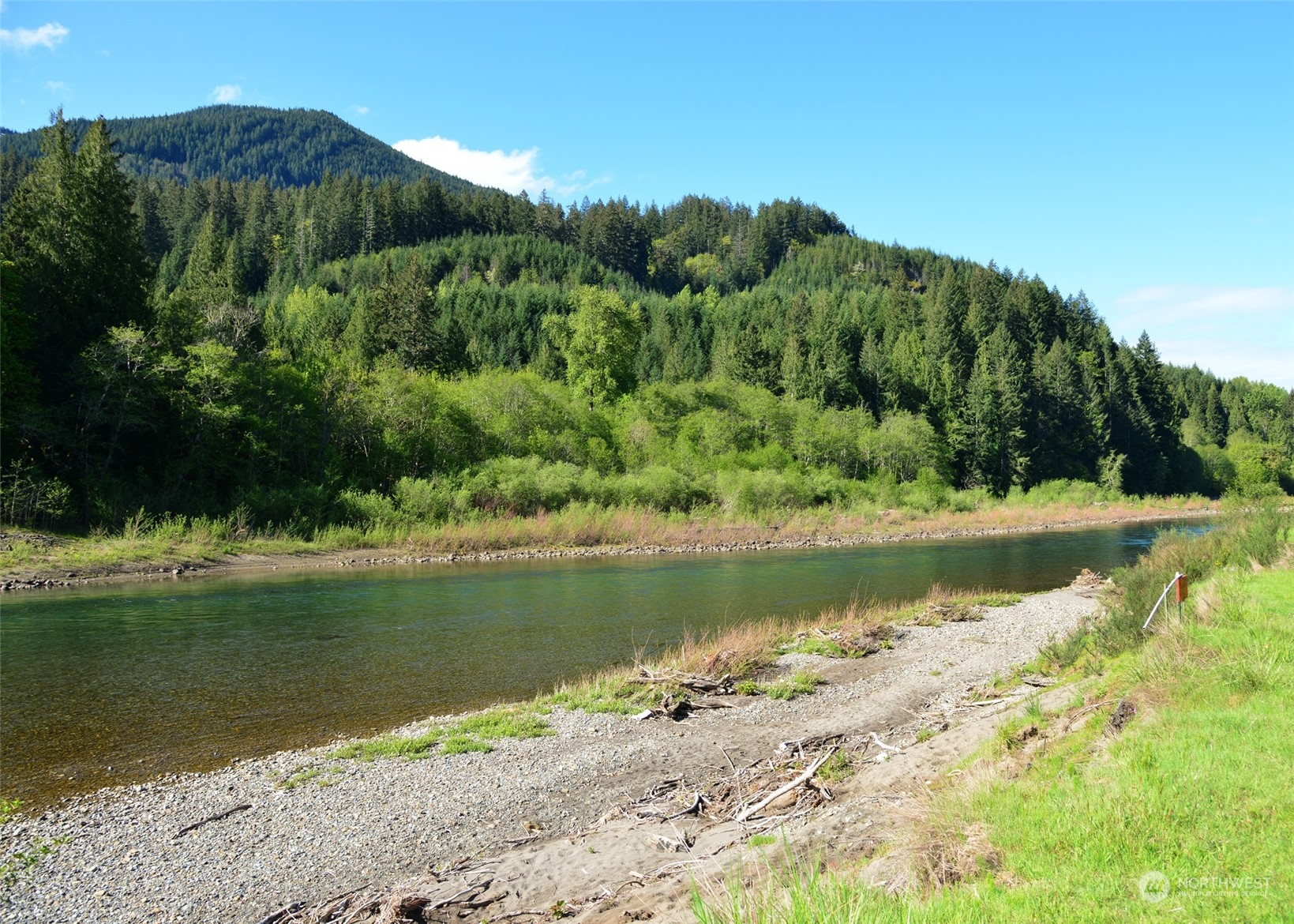 163 Lone Tree Road Randle, WA 98377 - Photo 8 of 12 Gallery Image 8
